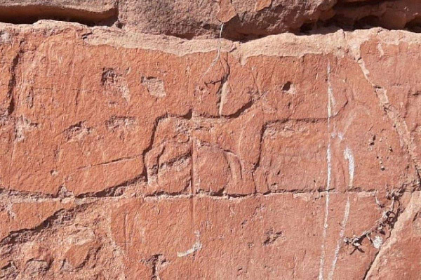 � ���������� ����������� ���� ��������� ������� ����� �������