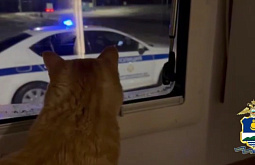 �������� ��� ����� �� ������� ������� ������ �����������