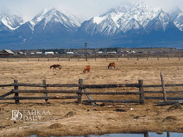 ������� �� ���������� ������� ������ � ������� 