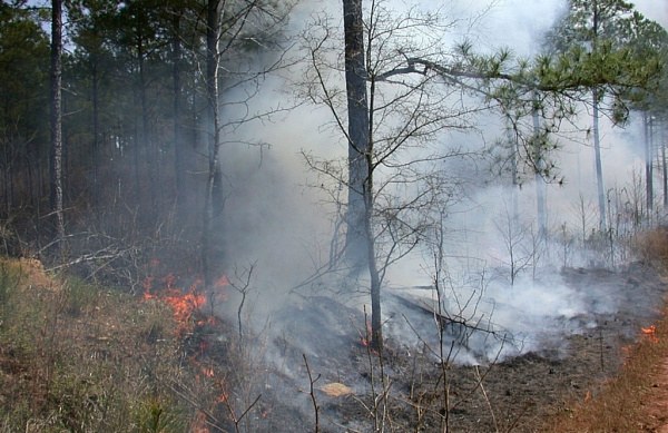 � ������� ������ ������ ����������� � ����� ����� 