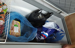 � ������� ���������� ������� ���� ��� ���������� 