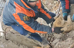 � ���� ��������� ��������� ����� �� �������� ������� 