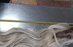 �� �������� � ������� �� ������ ������� �����