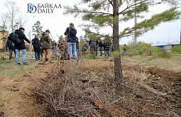 � ����-��� ������� ������� � ���������� �� 4,2 ��������