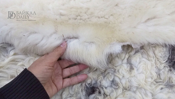 В Улан-Удэ подведут итоги конкурса по выделке овчины