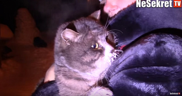 ����-������ ������ �� ������ ��������� ���� (�����)