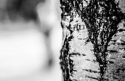 � ������� ��������� ����� �������� ����� �� ����� 