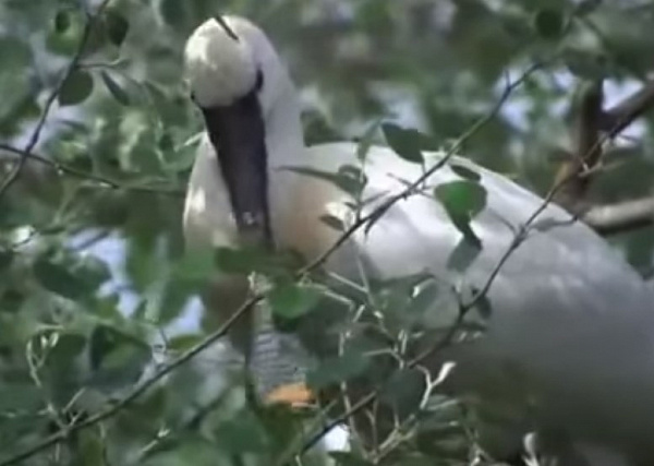 � ������� � ������� ������� �� 40 ��� �������� ���� ������ 