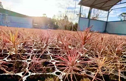 26 ��� ������� ����� �������� � ������� �� 2024 ��� 