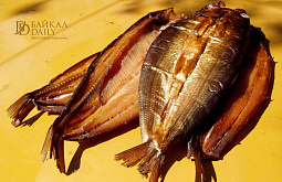 � ����-��� ���������� ����������� �� ���������� ������ ����