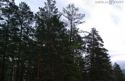 � ������� ����������� ������������ ������� 