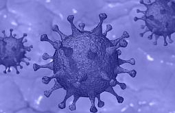 �� 54 ������� ����� ������� ������������ � �������