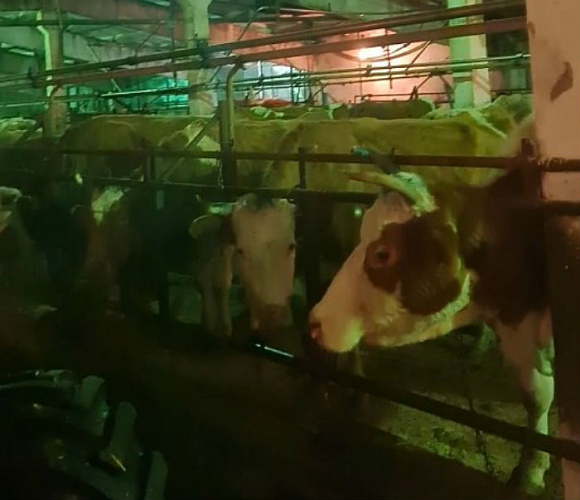 ��������� ������� ������� ����� ������ � ������ 