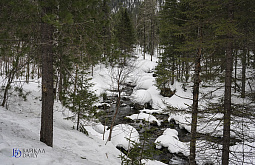 Лавины продолжают угрожать жителям Бурятии