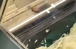 ���: � ����-�������� ���� ����������� ���������