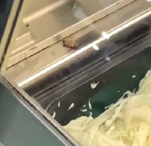 ���: � ����-�������� ���� ����������� ���������