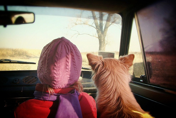 ���������, ���������� ����� �� 7 ��� � ������ ��� ���������, ����� ���������� 