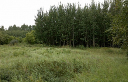 �������������� � ������� ����� ��������������� ���������