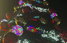 В Улан-Удэ устанавливают ёлки