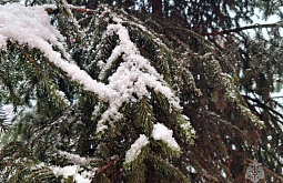 � �������� ����������� ���������� ����� �� 2 �����