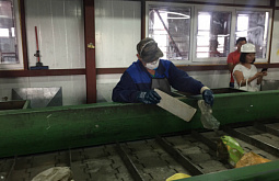 ����� �������� �������� �������� � �������