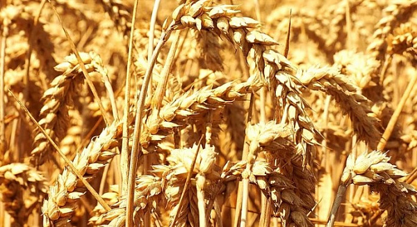 � ��������� ������� � ������� �������� 16 ���������� �� �����