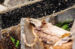 � ������� ����������� ���������� ���� ������� ������ ��������� 