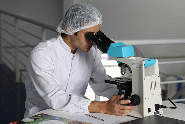 � ������� ������� ������������ ������� ������������ ����