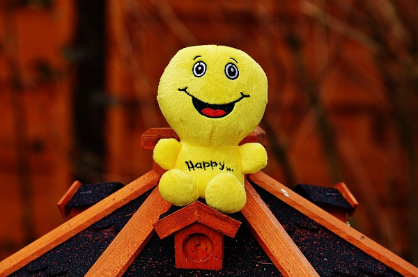 �������� ��� ����� �������� ������� ��������� ��������� ������