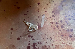 ����-������ ���� ������� ������� �� ������������� ����