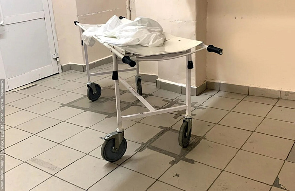 � ������ ������� �������� ���� ����������� �������� � �������