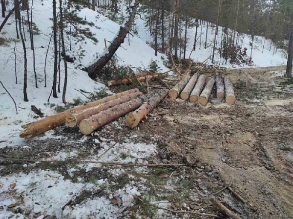 ������ ������� ��������� ����� ����� �� �������