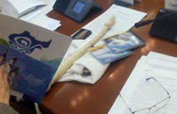 ����� ������� �������� ���� 