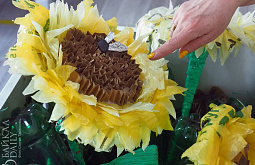 � ����-��� ��������� �������� ������������ �� ������