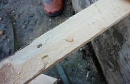 �� ������� � ����� ���� �� ��������� ������������� � �����������