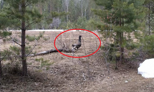 � ������� �� ��������� ������ �������