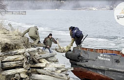 �� ������� ������ ���������� ������, ����������� � ������� ����