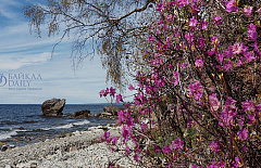 �� ������� ��� ��������� 59 ������� � ������������ �� �������