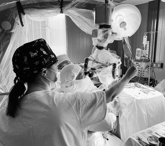 ������ ������������ ���������: � ������� ������ ������� � �������� �����������