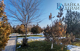 � ������� ������� ����� ������