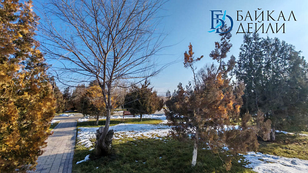 � ������� ������� ����� ������