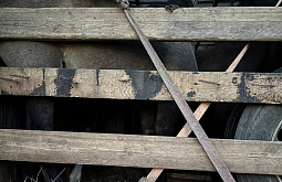 Через Бурятию в Казахстан пытались провезти табун лошадей