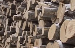 �������� ���������� ���� � ����� �� ������ 352 ��� 