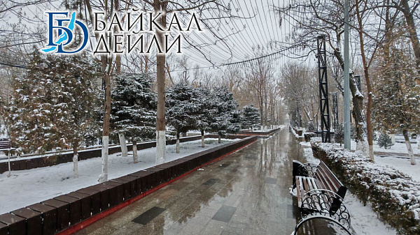 �� ������� ������� ������ ������ ����