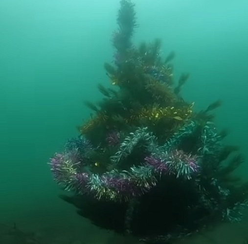 �� ��� ������� ���������� ���� 