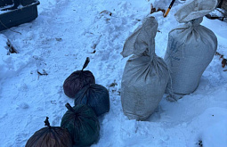 ������ ��������� ������� ������, ��� ������ ��������� ������ ������� ��� ���� 