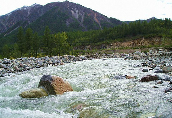 ����-��� �������� � ������� �������������� �������� 