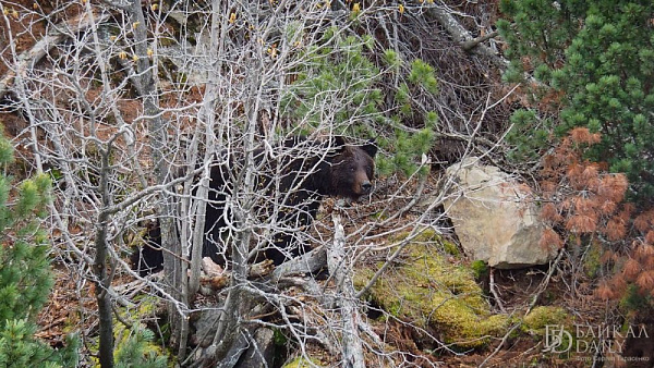 ����!�: � ���� ������� ������� �������� �������� ������� 