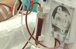 � ������� ������� � �������� ���������������� ������������ ��������� ������� 