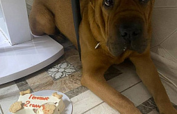 ���������� ����� �������� � �������� ������ �� ������� 